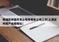 杨浦区块链开发公司有哪些公司上市[上海区块链产业园地址]